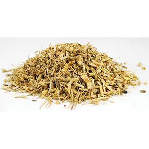 Dog Grass Root cut (Agropyron repens) - Wiccan Place