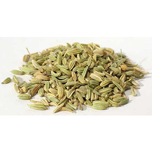 Fennel Seed (Foeniculum vulgare) - Wiccan Place