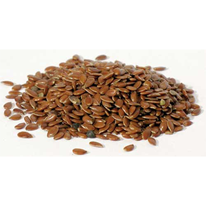Flax Seed (Linum usitatissimum) - Wiccan Place