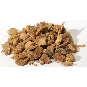 Galangal Root cut "Chewing John" (Alpinia galangal) - Wiccan Place