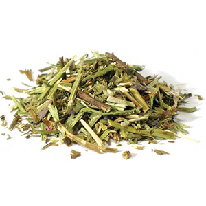 Hyssop cut (Hyssopus officinalis) - Wiccan Place