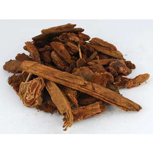 Jezebel Root pieces 1oz (Picea) - Wiccan Place