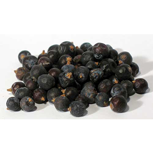Juniper Berries whole (Juniperus communis) - Wiccan Place