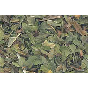 Peppermint Leaf cut (Mentha piperita) - Wiccan Place