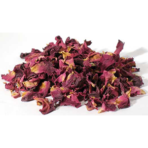 Rose Red Buds & Petals (Rosa centifolia) - Wiccan Place