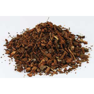 White Oak Bark cut (Quercus alba) - Wiccan Place