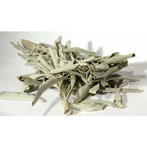 White Sage (Salvia Apiana) - Wiccan Place