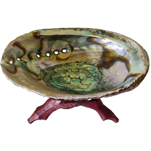Abalone Shell incense burner with stand 5"- 6"