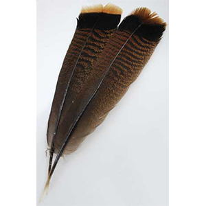 Bronze Turkey Tail feather - Wiccan Place