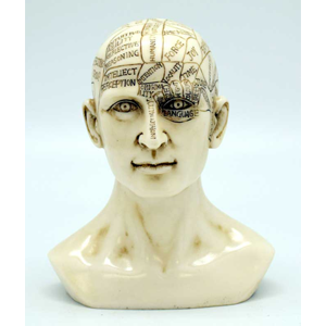 Phrenology Head 6" - Wiccan Place