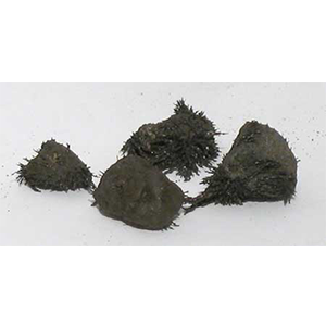 Natural Lodestones 1 Lb - Wiccan Place