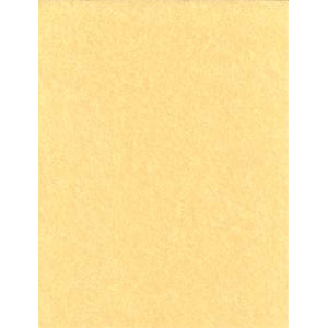 Light Parchment Paper 25 Pack (8 1/2" x 11") - Wiccan Place