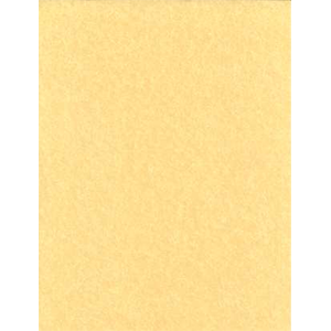 Light Parchment Paper 25 Pack (8 1/2" x 11") - Wiccan Place