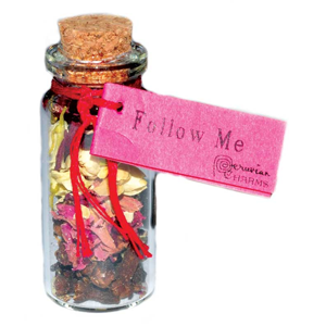 Follow Me Pocket Spell Bottles - Wiccan Place