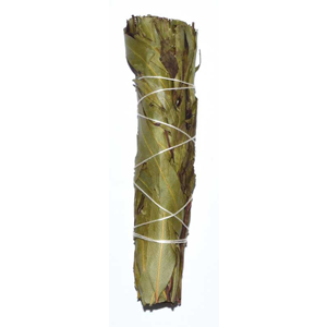 Eucalyptus Citridora smudge stick 4" - Wiccan Place