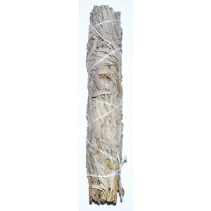White Sage Smudge Stick 9" - Wiccan Place