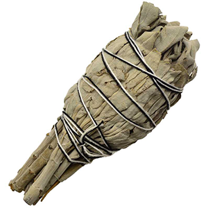 California White Sage Smudge Stick 4" - Wiccan Place