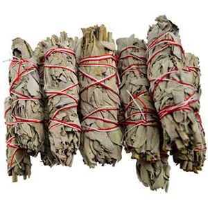 White Sage Smudge Sticks 12 pk 3 1/2" - Wiccan Place