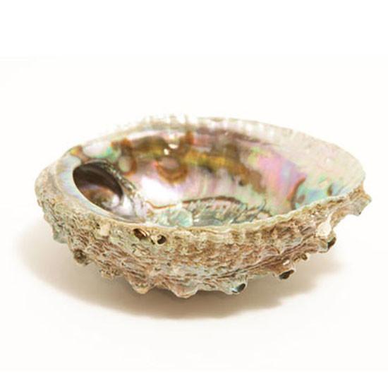 Smudge Ash Tray and Burner - Abalone shell - Large 5"-6.5"