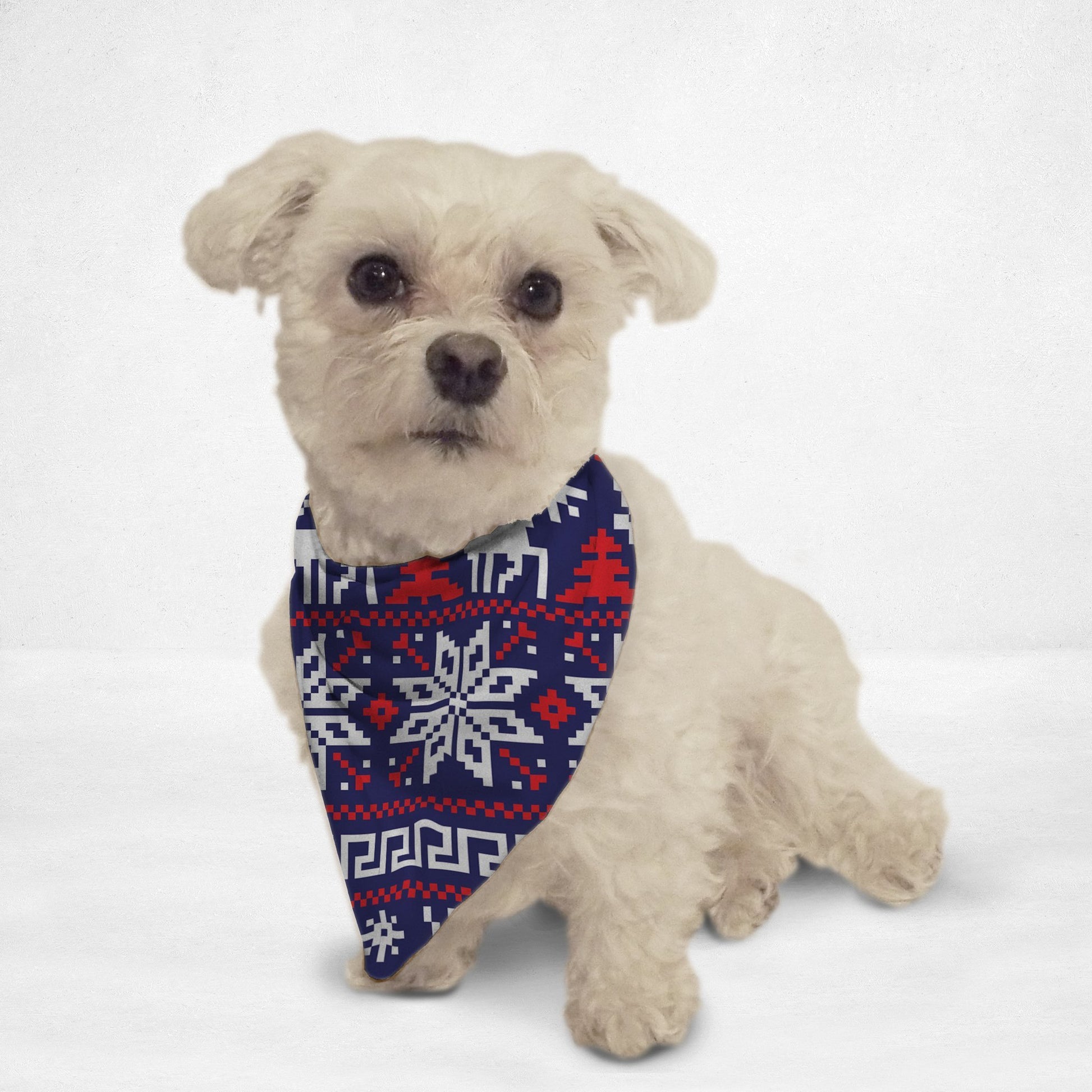 Ugly Sweater Cat & Dog Bandana