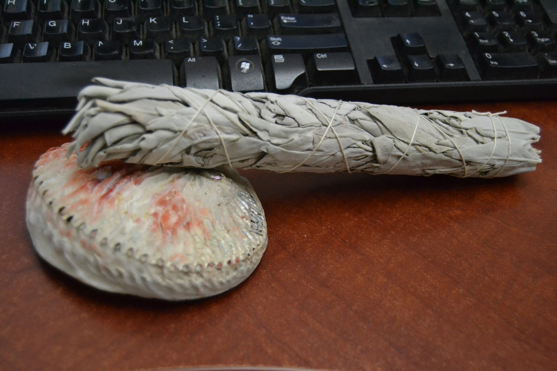 White Sage Bundles w/ Abalone Shell Smudge Kit