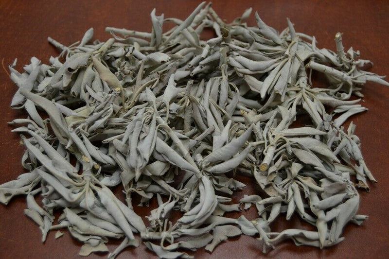 1 Pound California White Sage Fresh Cluster Herb Incense