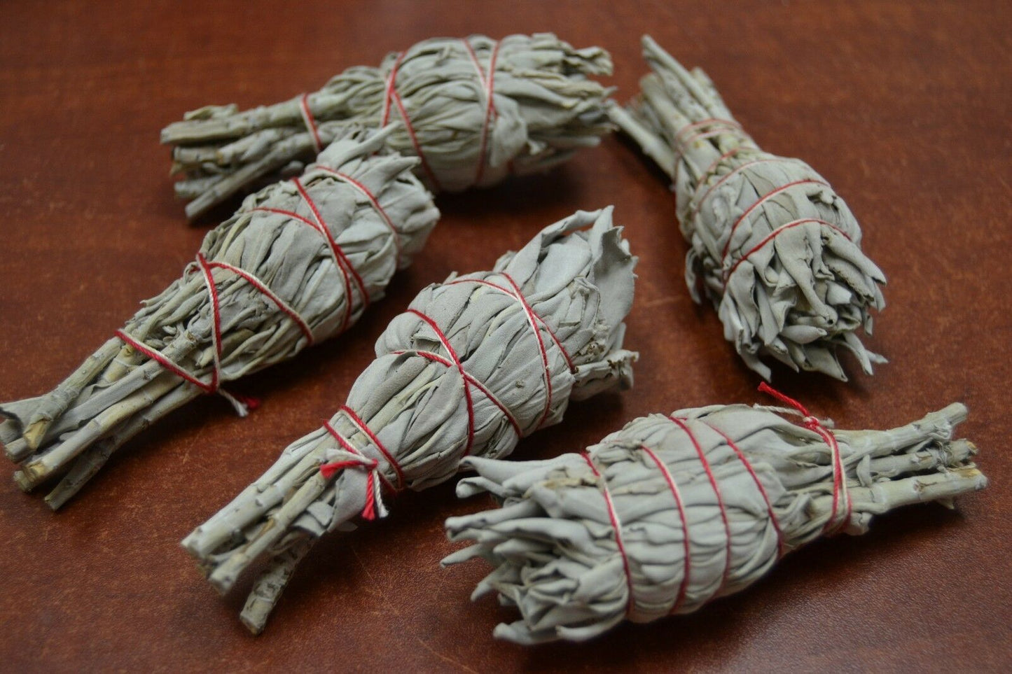 5 Pcs California Mini White Sage Bundle Smudge 3"