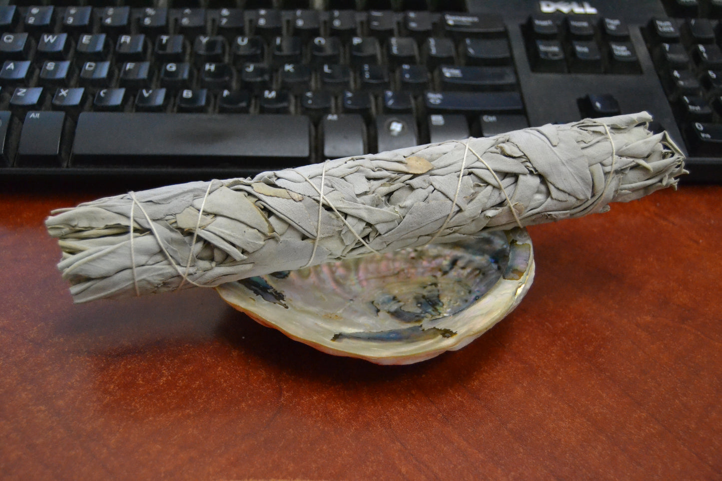 White Sage Bundles w/ Abalone Shell Smudge Kit