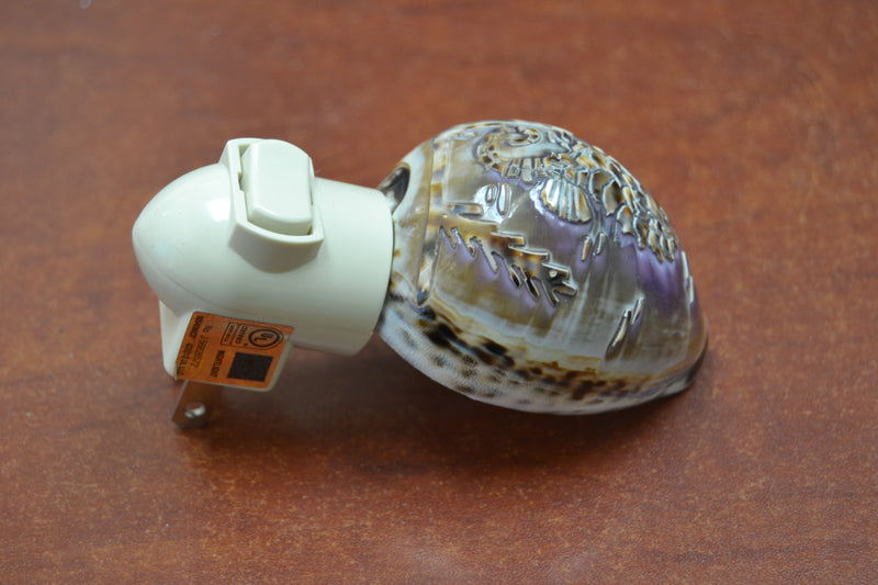 Carved Tiger Seahorse Shell Nightlight