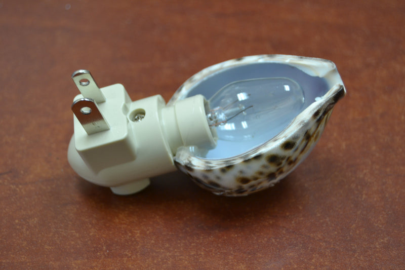 Carved Tiger Seahorse Shell Nightlight