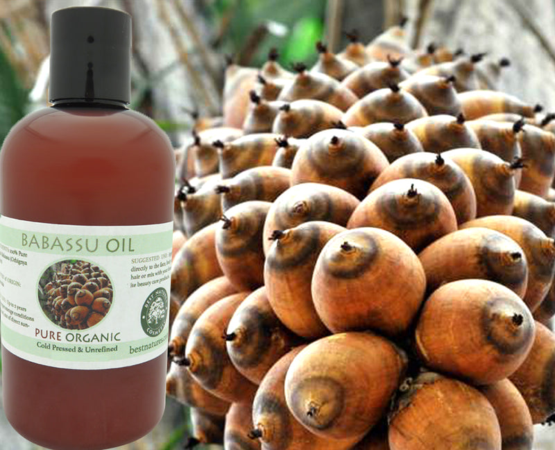 Organic Babassu Oil (Cold Pressed, Unrefined)