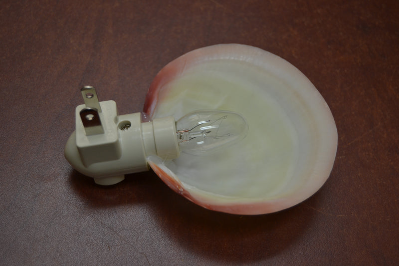 Pink Mother of Pearl Seashell Shell Nightlight