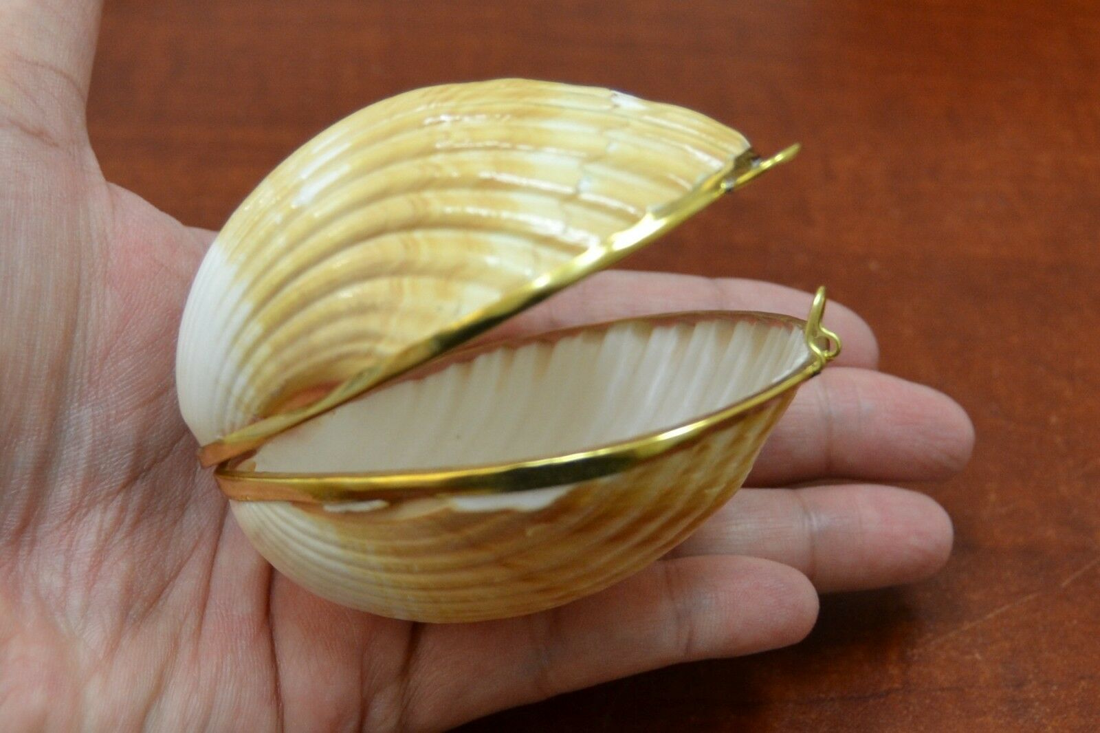 Yellow Cup Shell Trinket Box