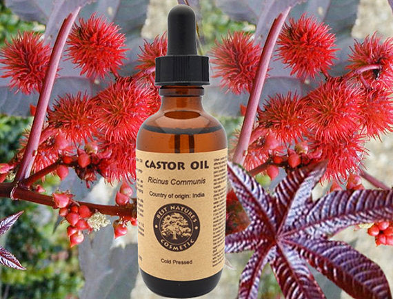 Organic Castor Oil (Expeller Pressed)