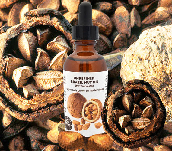 Organic Virgin Brazil Nut Oil (undiluted)