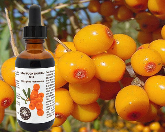 100% Pure Sea Buckthorn Fruit, Berry Oil. Cold