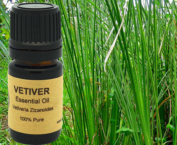Vetiver Essential Oil 5ml, 10ml or 15 ml.