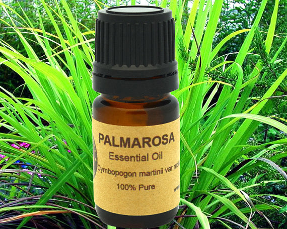 Palmarosa Organic Essential Oil 15ml