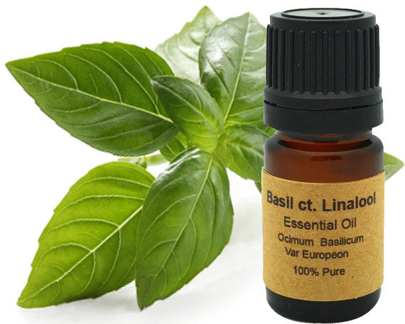 Basil CT. Linalool Essential oil 10 ml or 15 ml.