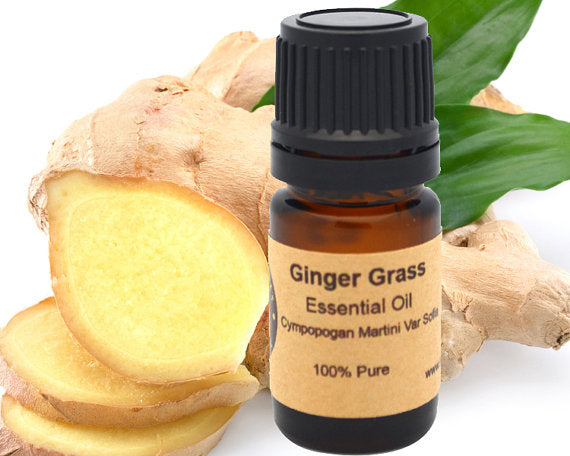 Ginger Essential Oil 15 ml