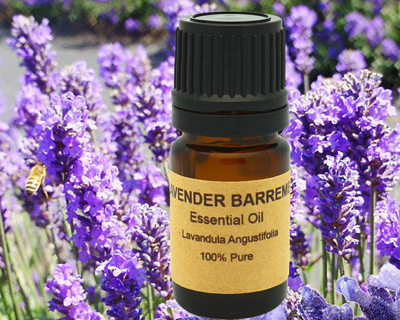 Lavender Barreme Essential Oil, France