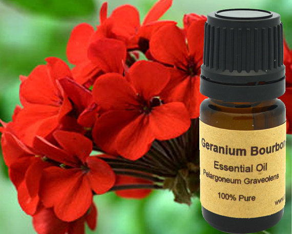 Geranium Bourbon Essential 15ml - 15 ml - Essential Oils