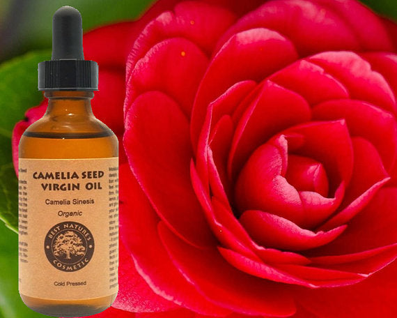 Organic Camellia Seed Oil (Cold Pressed)