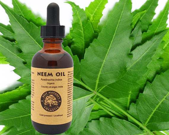 100% Pure Organic Virgin Neem Oil (undiluted, unrefined)