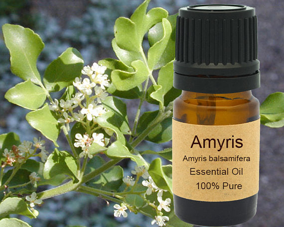 Amyris Essential Oil 15ml