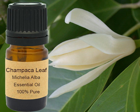 Champaca Leaf Essential Oil 5 ml, 10 ml or 15 ml